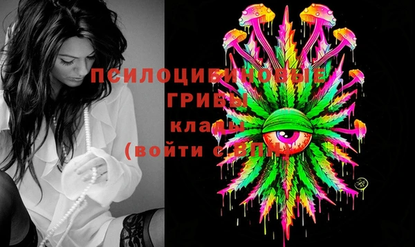 каннабис Белокуриха