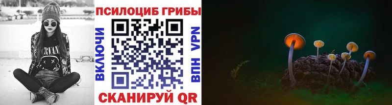 Псилоцибиновые грибы Psilocybe  Верхний Тагил 